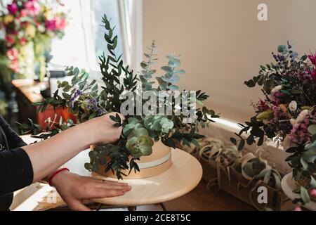 Ritaglio di vista laterale di una crassula professionale di arrangiamento fiorista femminile piante succulente in pentola ornamentale mentre si lavora in studio di floristry Foto Stock