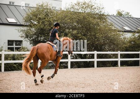 Vista laterale dell'equestre femminile in cavallo di castagno uniforme su un'arena di sabbia durante il dressage nella giornata nuvolosa Foto Stock