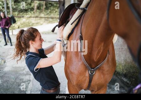 Vista laterale della sella equestre femminile sul cavallo di castagno durante la preparazione per la medicazione Foto Stock