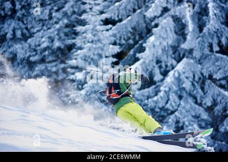 Sciatore con zaino facendo freeride-discesa su neve-coperto pendio in bianco neve polvere Blizzard. Manovre pericolose su una montagna boscosa in discesa. Pittoresco scenario forestale su sfondo sfocato. Foto Stock