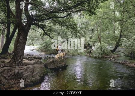 paesaggio di un giovane in un cappello e giallo zaino trekking con il suo cane su un lago d'acqua e molti alberi verdi-frondosi Foto Stock
