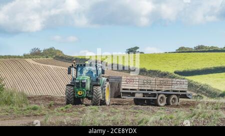 Livrea verde familiare del trattore 4WD John Deere 6155R che trasporta un rimorchio con patate raccolte fuori dal campo. UK 2020 vendemmia di patate. Field 16:9 Foto Stock