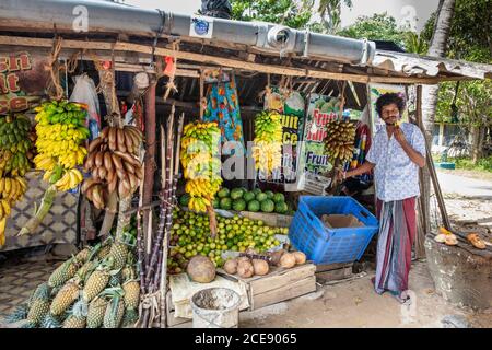 Sri Lanka, Weligama, Surf Beach resort. Frutta stabile. Foto Stock