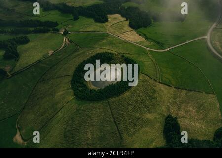 Aerial view of little lake surrounded by green forest and vast field Foto Stock