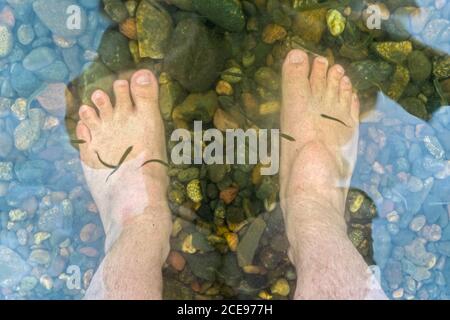 Piedi di un uomo che nuota in acqua con pesci Foto Stock