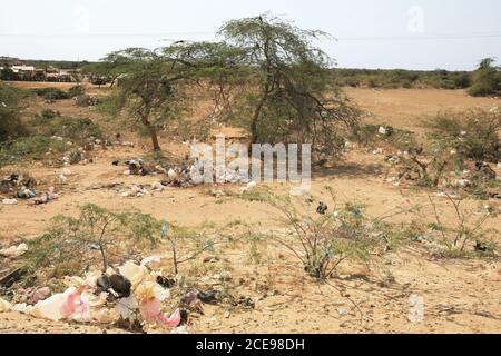 Rifiuti e sacchetti di plastica intrappolati in cespugli spinoso alla periferia di Uribia, la capitale indigena del paese, dipartimento la Guajira, Foto Stock