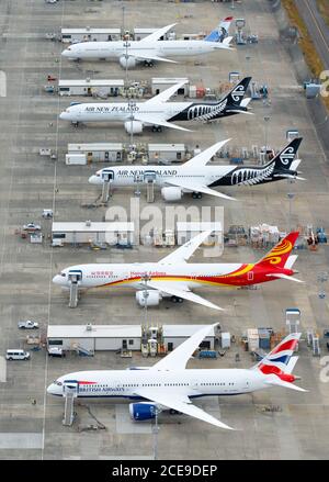 Linea di volo Boeing 787 Dreamliners fuori dalla fabbrica a Paine Field a Everett. B787 linea Flightline di aerei Dreamiliner. Produzione di aeroplani. Foto Stock