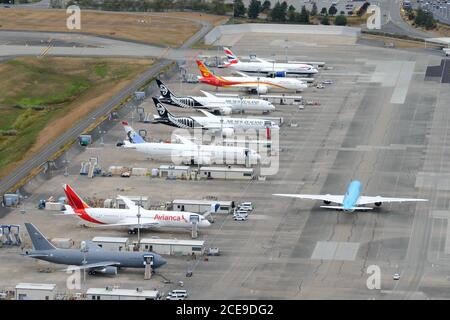 Linea di volo Boeing 787 Dreamliners fuori dalla fabbrica a Paine Field a Everett. B787 linea Flightline di aerei Dreamiliner. Produzione di aeroplani. Foto Stock