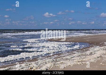 Schiuma di mare / schiuma da spiaggia / spuma, creata dall'agitazione dell'acqua di mare e dalla rottura offshore delle fioriture di alghe, lavata / soffiata sulla spiaggia in primavera Foto Stock