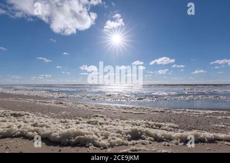 Schiuma di mare / schiuma da spiaggia / spuma, creata dall'agitazione dell'acqua di mare e dalla rottura offshore delle fioriture di alghe, lavata / soffiata sulla spiaggia in primavera Foto Stock