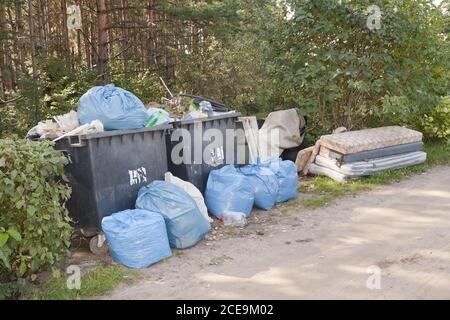 Cumuli di rifiuti e rifiuti domestici in foresta Foto Stock