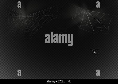 Un ragno nero si blocca su un web. Spaventoso spiderweb di Halloween simbolo. Illustrazione Vettoriale