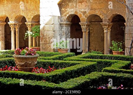 Chiostro, Saint-Paul-de-Mausole, St-Rémy-de-Provence, Francia Foto Stock