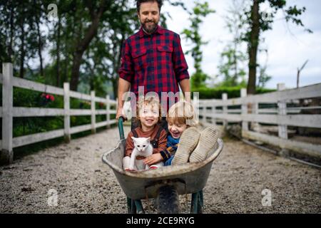 Padre irriconoscibile che spinge i bambini piccoli in carriola in fattoria. Foto Stock