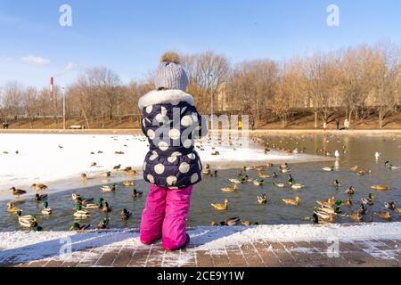 la bambina in un cappello con un mumbon, una giacca a pois e pantaloni rosa alimentano le anatre selvagge su un laghetto in inverno. il bambino si alza con la schiena Foto Stock