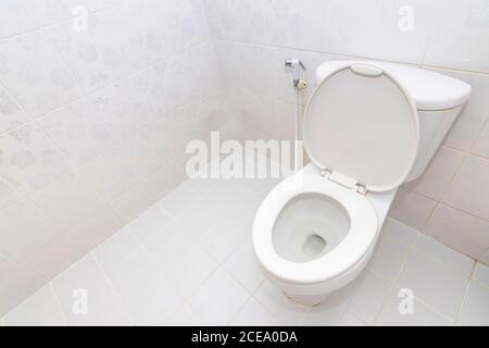 Una tazza igienica moderna e pulita e uno spray di sollevamento. WC bianco in bagno. Foto Stock
