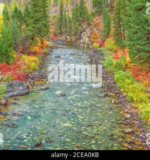 I colori dell'autunno lungo la North Fork blackfoot river vicino ovando, montana Foto Stock