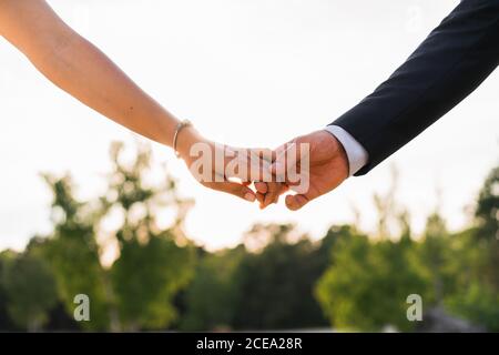 Colpo di raccolto di uomo e donna tenendo le mani teneramente contro gli alberi verdi in sole luminoso Foto Stock