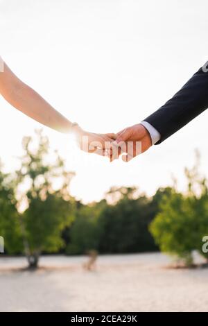 Colpo di raccolto di uomo e donna tenendo le mani teneramente contro gli alberi verdi in sole luminoso Foto Stock