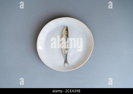 Pesce rosso fresco adagiato su un piatto di ceramica su sfondo grigio Foto Stock