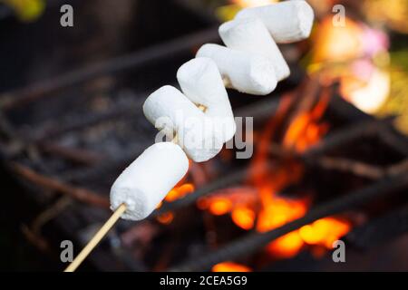 I marshmallows sono fritti sopra un fuoco. Tostato marshmallows su un fuoco aperto su un bastone di legno. Foto Stock