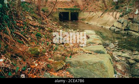 Un tunnel oscuro e spooky in un Creek poco profondo in Una foresta d'autunno Foto Stock