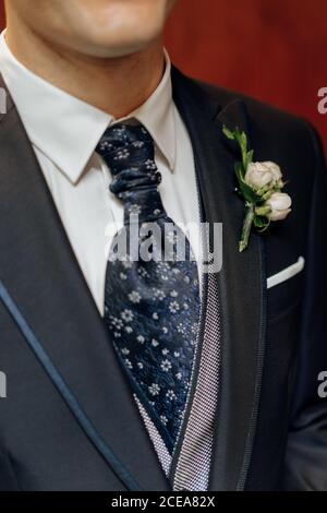 Crop uomo in elegante abito da sposo con cravatta ornamentale e. bianco boutonniere Foto Stock