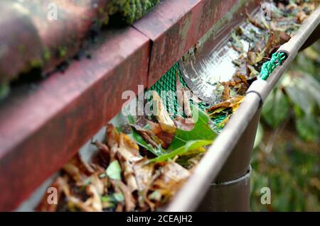 Protezione in plastica nel canale di gocciolamento su un tetto della casa. Protezione anti-foglie. Foto Stock