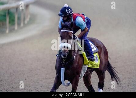 31 agosto 2020, Louisville, KY, USA: 31 agosto 2020: Gli esercizi del collezionista d'arte come cavalli si preparano per il 2020 Kentucky Derby e Kentucky Oaks a Churchill Downs a Louisville, Kentucky. La gara è in corso senza tifosi a causa della pandemia del coronavirus che ha afferrato il mondo e la nazione per gran parte dell'anno. John Voorhees/Eclipse Sportswire/CSM Foto Stock