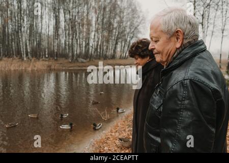 Vista laterale dell'uomo e della donna anziani in piedi vicino all'acqua e guardando le anatre nel parco autunnale Foto Stock