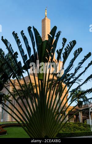 Il tempio della Repubblica Dominicana di Santo Domingo della Chiesa di Gesù Cristo dei Santi degli ultimi giorni è stato completato nel 2000. È il primo LDS o. Foto Stock