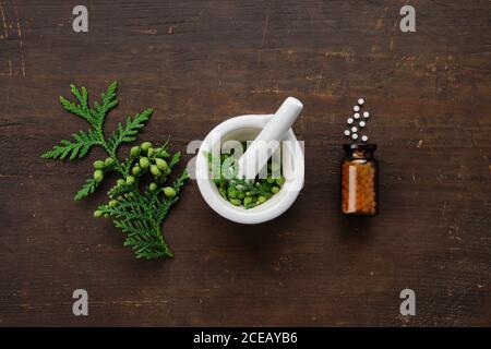 Flacone di globuli omeopatici. Thuja occidentalis ramoscelli e mortaio. Concetto di medicina dell'omeopatia. Vista dall'alto, disposizione piatta. Foto Stock