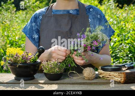 Donna che raccoglie piante medicinali. Erborista che tiene in mano mazzo di erbe medicinali. Davanti a lei c'è un mortaio, una ciotola e un libro. Foto Stock