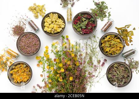 Ciotole di erbe medicinali secche, mazzi di piante curative e bottiglie di piante medicinali secche su sfondo bianco. Vista dall'alto, disposizione piatta. Foto Stock