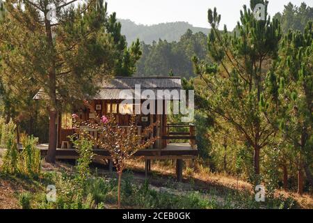 Cabina di legno nella foresta Foto Stock