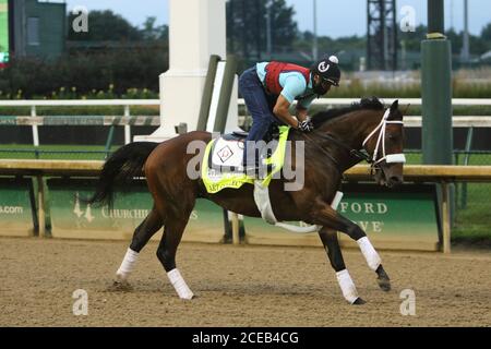 31 agosto 2020 Churchill Downs, Louisville Kentucky Art Collector allunga le gambe sulla pista in preparazione per il Kentucky Derby Foto Stock