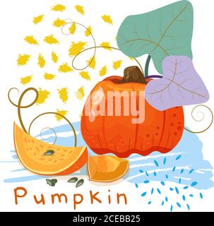 illustrazione vettoriale della zucca e di una coppia di fette decorate con elementi colorati astratti Illustrazione Vettoriale