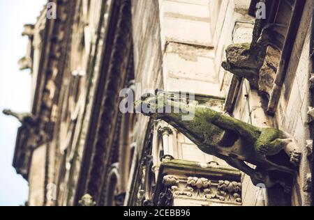 Doccioni nella cattedrale di Notre Dame. Parigi, Francia Foto Stock