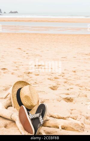 Infradito e accessori su driftwood sulla spiaggia Foto Stock