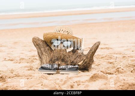 Infradito e accessori su driftwood sulla spiaggia Foto Stock