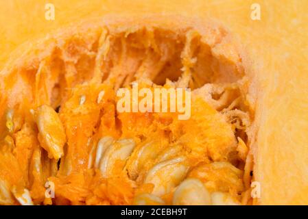 dettagli della zucca con semi all'interno del closeup fuoco selettivo Foto Stock