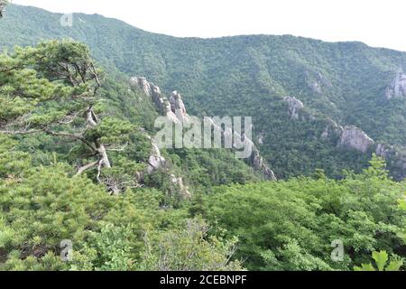 Strati di scogliera vicino luogo sacro. Vicino a Bongjeom-am, 1200m dal livello del mare. 20 giu 2019, Seoraksan National Park, Kangwon-do, Corea. Foto Stock