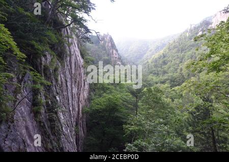 Una scogliera sotto il tempio di Bongjeong-am incontra una foresta gigante. 21 giu 2019, Seoraksan National Park, Kangwon-do, Corea. Foto Stock