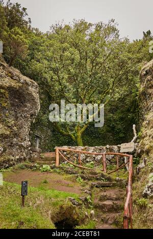 Vuoto percorso stretto con gradini in terra tra la vecchia mussosa Rocce nella verde valle tropicale delle Isole Canarie Foto Stock