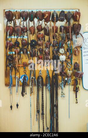 Cappelli di protezione per uccelli a parete Foto Stock