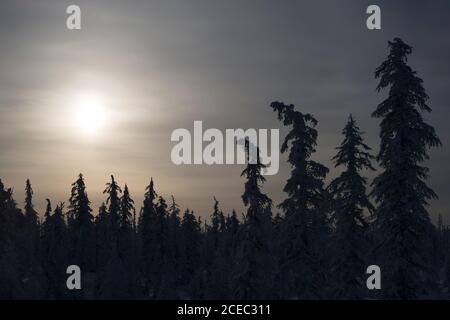 splendido paesaggio di fata invernale Foto Stock