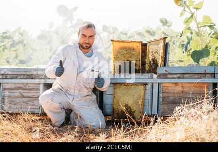 Apicoltore che lavora raccogliere miele Foto Stock
