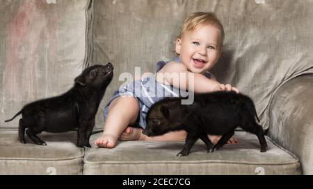 Carino ragazzo seduto con due piccoli mini maiali neri sul divano. Foto Stock