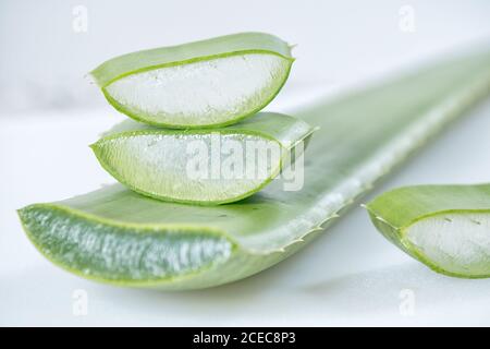 Pezzi di Aloe vera fresco verde con polpa bianca su sfondo chiaro. Foto Stock