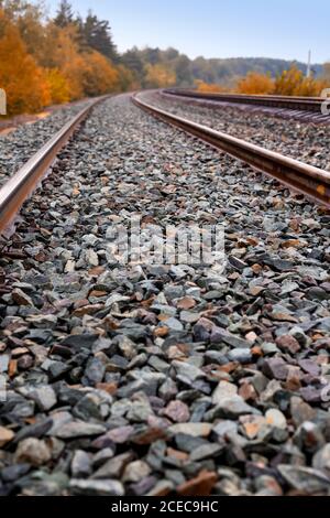 Primo piano di pietre su binari ferroviari che attraversano la foresta Foto Stock